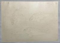 大野麦風木版画　【カサゴ】大日本魚類画集