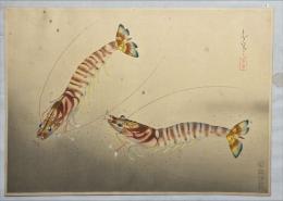 大野麦風木版画　【車海老】大日本魚類画集