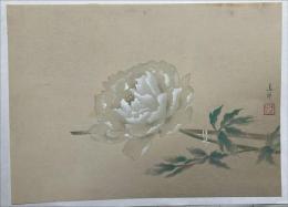 池田遙邨木版画　【ボタン】