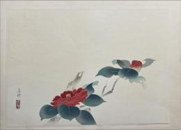 池田遙邨木版画　【ツバキ】