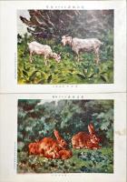 家畜図譜　揃15枚　解説付