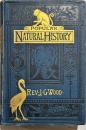 THE POPULAR NATURAL HISTORY