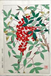 河原崎奨堂木版画　【南天】
