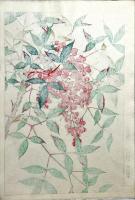 河原崎奨堂木版画　【南天】