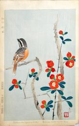 中村春泥木版画　【木瓜頬白】