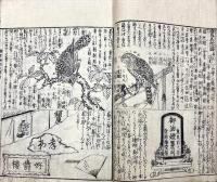 新撰増益都會節用百家通 : 雅俗類字両點
