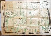 日本稲作害虫図