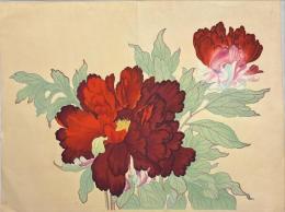 木版彩色刷　牡丹図　無落款