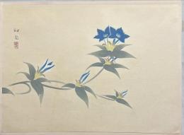 徳岡神泉木版画　桔梗図　木版彩色刷　