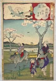 周延画　雪月花の内　和泉ー南郡花牡丹花肖柏