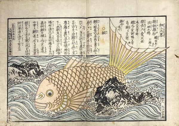 天満宮御神事御迎船人形図会(暁鐘成:著 松川半山:画) / 古本
