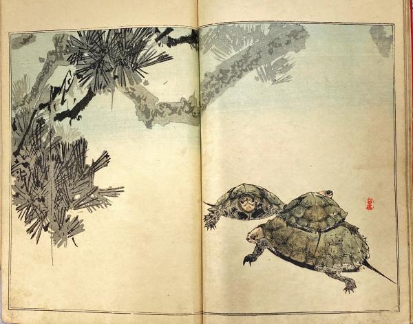 省亭花鳥画譜 | 渡邉省亭画 | 大倉孫兵衛版 | ¥180,000 - 日本の古本屋