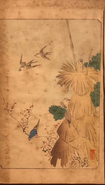 諸鳥飼養法全書(岡本純著) / 杉本梁江堂 / 古本、中古本、古書籍