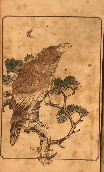 諸鳥飼養法全書(岡本純著) / 杉本梁江堂 / 古本、中古本、古書籍