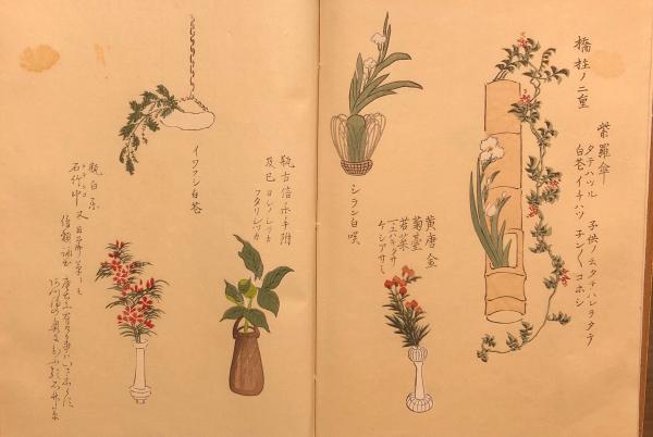 花林清賞(西川一草亭著) / 古本、中古本、古書籍の通販は「日本の
