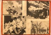 風光台湾