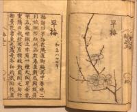 梅品　上巻