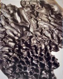 星野曉 : 黒陶出現する形象 : 滋賀の現代作家展