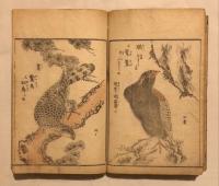 畫本早學 (ゑほんはやまなび)