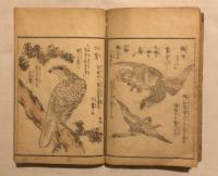 畫本早學 (ゑほんはやまなび)