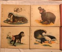 新撰　博物標本画帖　動物類揃4冊