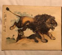 新撰　博物標本画帖　動物類揃4冊