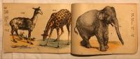 新撰　博物標本画帖　動物類揃4冊