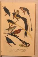 着色図編飼鳥集成