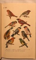 着色図編飼鳥集成