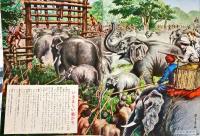 学習参考ものしり絵本　幼年倶楽部3月号附録