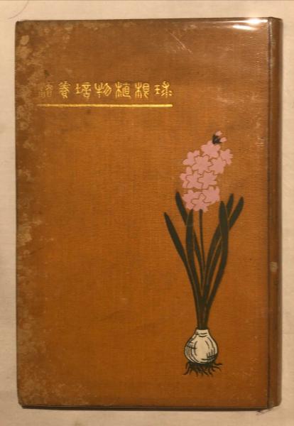 獨楽 : 熊谷守一の世界(藤森武著) / 杉本梁江堂 / 古本、中古本