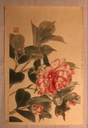福田翠光筆木版画　『八重桜』