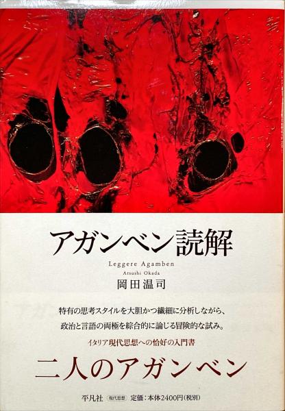 明治改正 東京全図(嵯峨野彦太郎) / 杉本梁江堂 / 古本、中古本