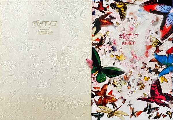Amazon.co.jp: 魂のアソコ(CD付き)【1000部限定】 : 山田花子: 本