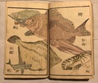 万象写真図譜　二編～五篇　4冊