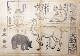 教育参考萬国大動物會