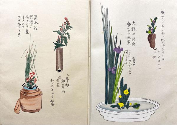 花林清賞　　西川一草亭 花林清賞(西川一草亭) / 古本、中古本、古書籍の通販は「日本の古本屋