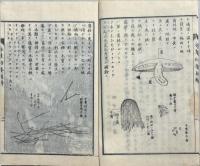 参河北設楽郡香蕈培養図解