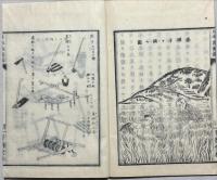 日本麦圃鑑