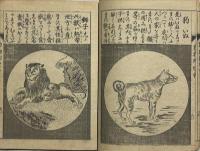 動物幻燈會　教育画談第三編