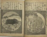 動物幻燈會　教育画談第三編