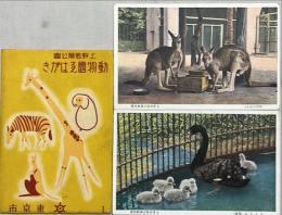 上野恩賜公園　動物園ゑはがき　袋付　6枚