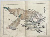 暁斎楽画　乾坤2冊