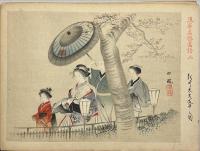 浪華名所画譜　木版彩色刷１２景