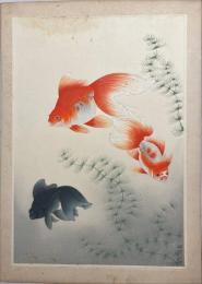 大日本魚類画集　金魚　【麥風】の署名・印なし　