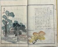 たまひろひ(都名處捃玉集) 乾坤揃2冊