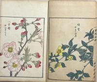 草花百種