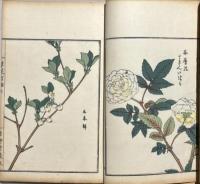 草花百種