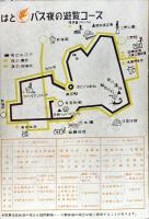 東京お江戸夜の遊覧　