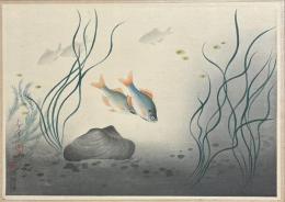 大野麦風木版画　大日本魚類画集之内　【かわたなご】